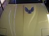 screaming chicken on power buldge hood?-000_0517.jpg