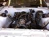 Look for white engine bay with dark engine-86tals1.jpg