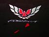 Emboridered Firebird on Custom Hood Blanket!-p1010005.jpg