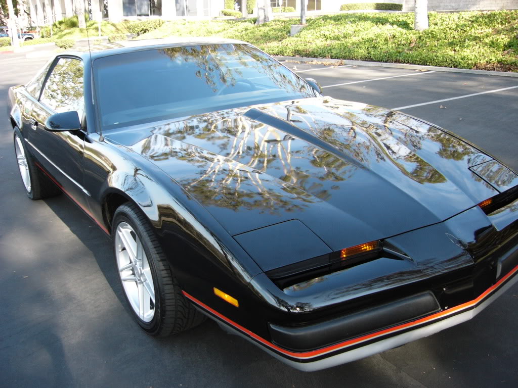 Name:  FIREBIRD91.jpg
Views: 67
Size:  166.5 KB