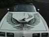 Firebird decal on an 87 formula-ta_hood2.jpg