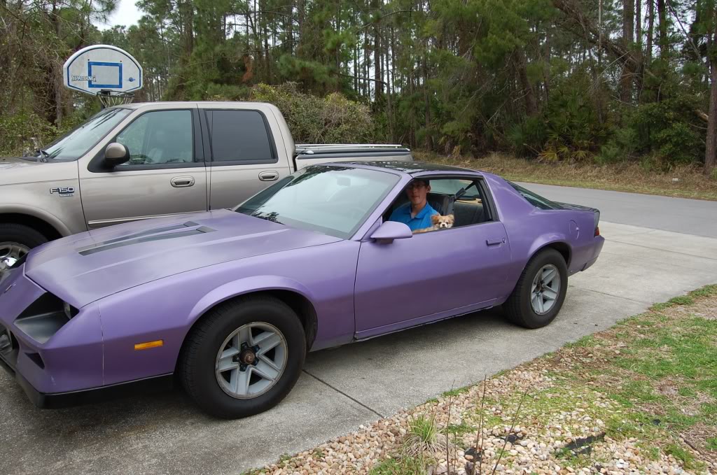 Purple camaros? - Third Generation F-Body Message Boards