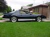 Lowered Trans Ams/GTA's-dsc00006.jpg