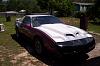 trans am cowl hood pics?-100_0218.jpg