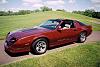 IROC bottom stripe question-irocpark.jpg