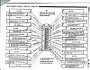 Digital guage cluster.-plug-2-diagram.jpg