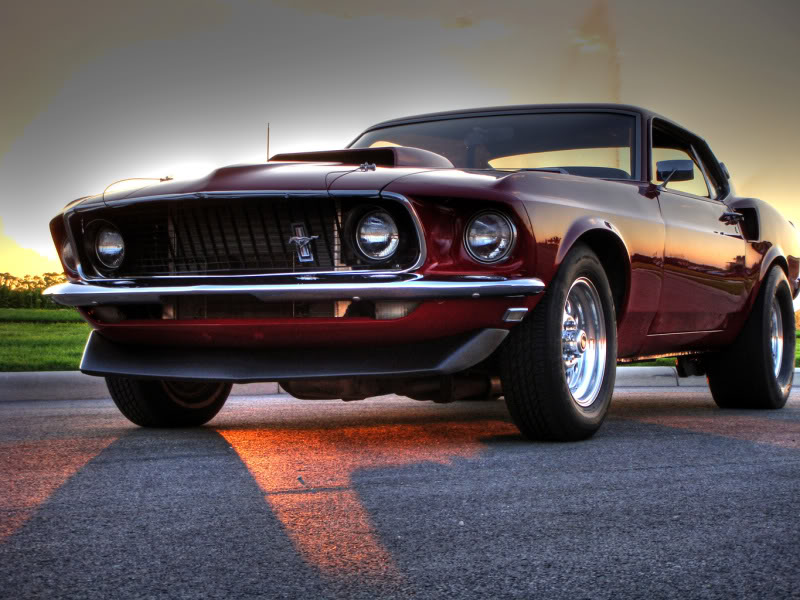 Name:  Mustang8.jpg
Views: 134
Size:  98.3 KB