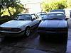 Want to trade 1986 ssp or 1991 ssp mustang for camaro 1le or b4c-2ssp-stangs.jpg