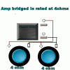 Curious, regarding Pioneer Premier DVC sub-amp.gif