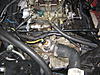 carb identify-img_4978.jpg