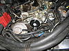 carb identify-img_4981.jpg