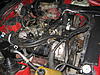 carb identify-img_4982.jpg