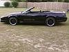 Your Convertibles-pic-0007.jpg