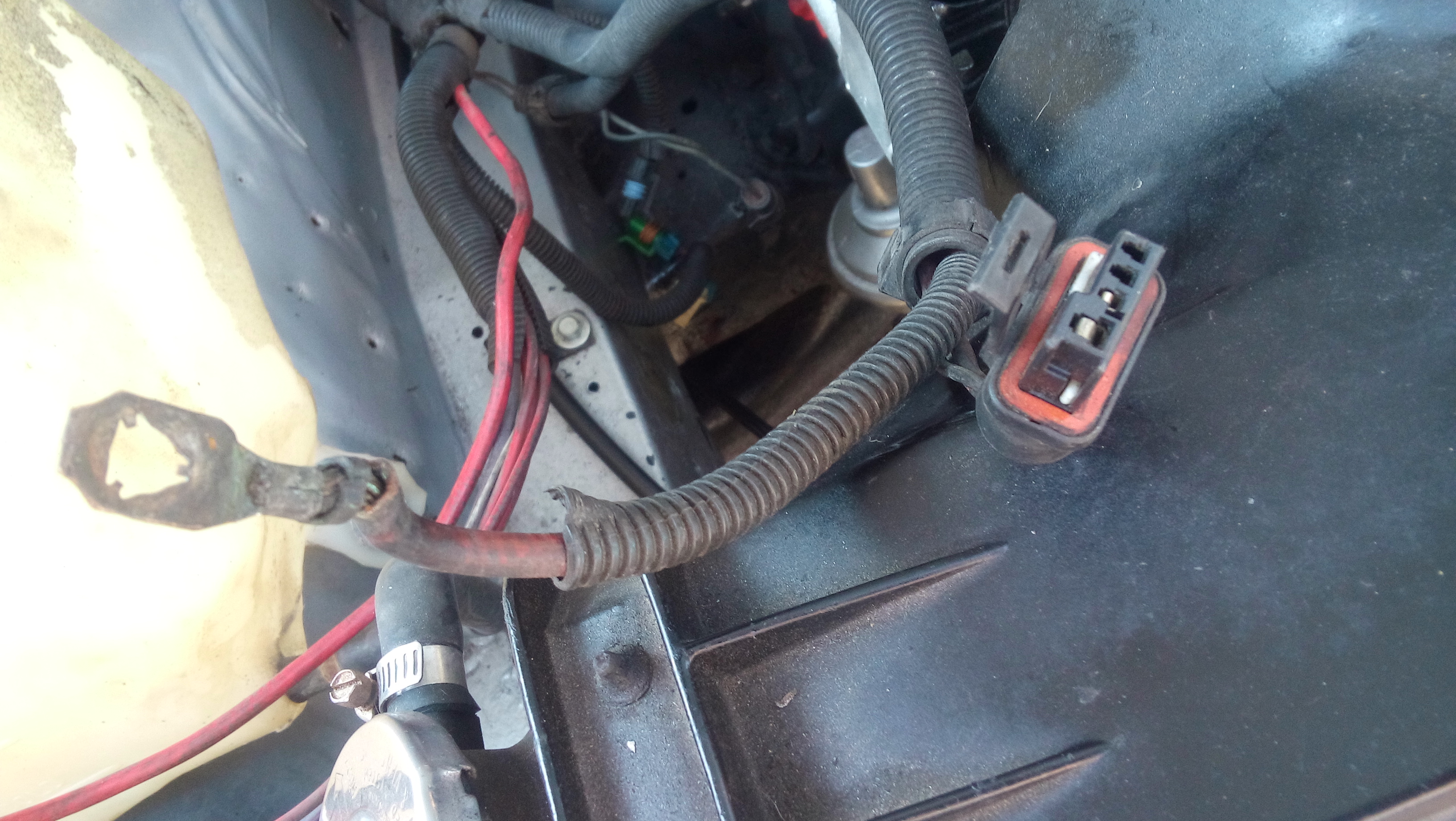 Change connector or change alternator? - Third Generation F-Body ...