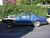 parting 86 firebird-blue-ta.jpg