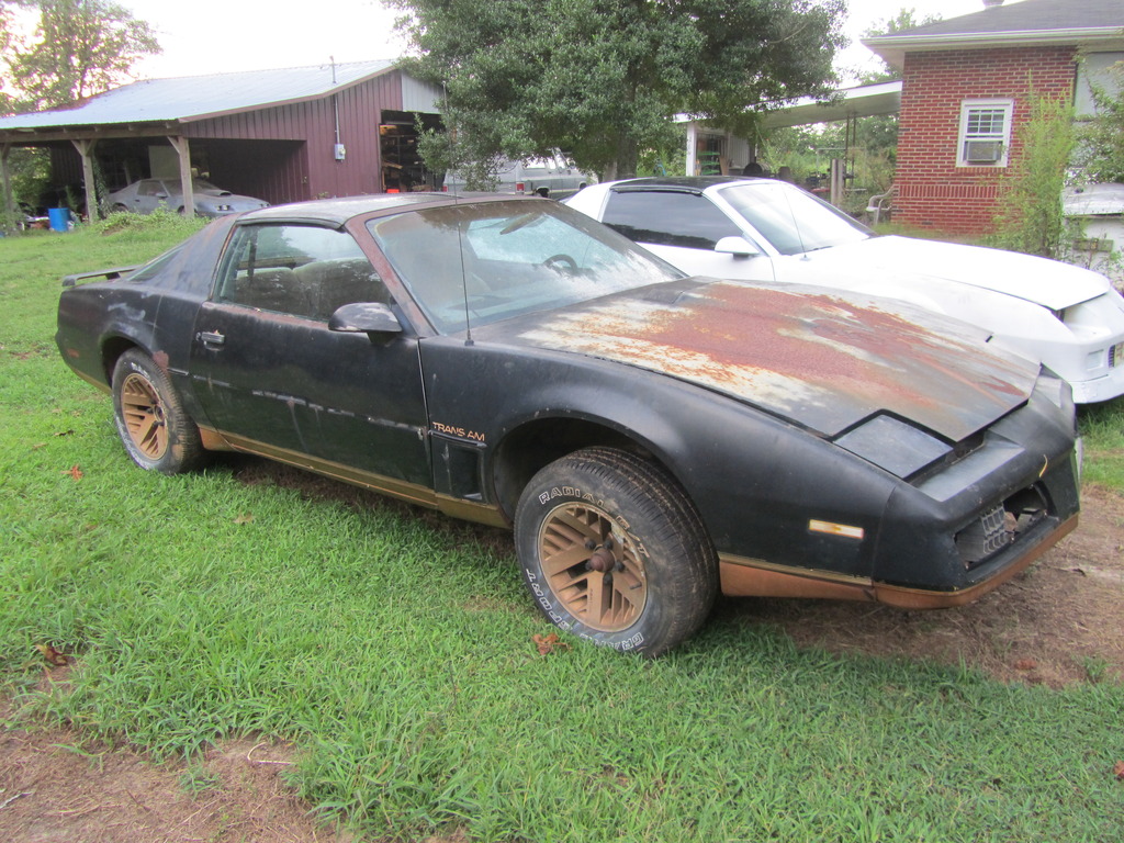 georgia parting out 1984 trans am black gold third generation f body message boards georgia parting out 1984 trans am black