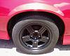 Newly Painted Rims...Thoughts...-rosie-2.jpg