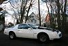 84 firebird white/blue int. located in eastern PA-img_0019-smaller.jpg