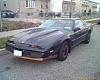 1982 Trans Am V8 M4-image_00146copy.jpg