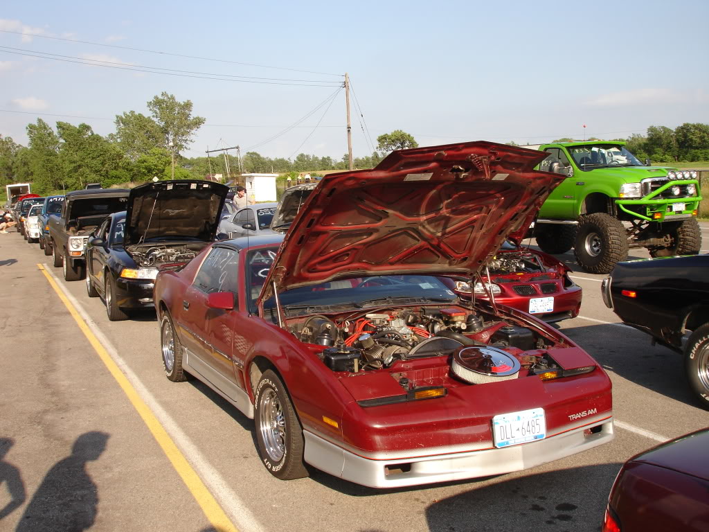 Name:  85TransAm.jpg
Views: 504
Size:  194.0 KB