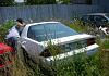 In here you will post pics of third gens at your local junk yards *lotsa pictures*-camarobushes2.jpg