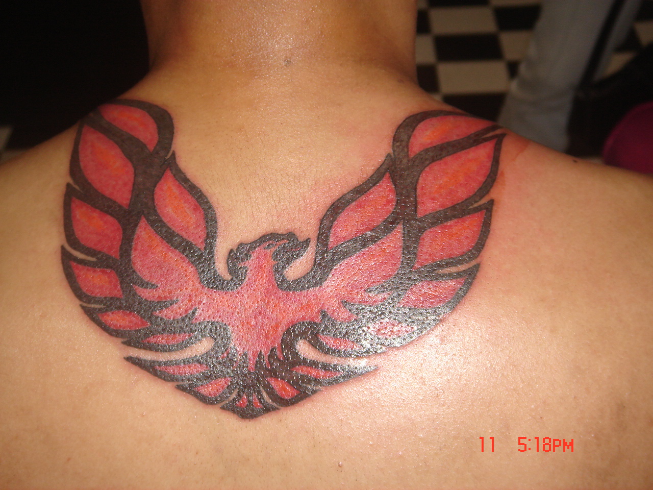 Photos at Firebird Tattoo Studio - Tattoo Parlor
