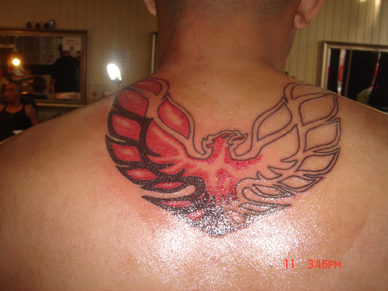 Tribal Firebird