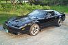 '86 Trans Am- Cheap Beater cleans up nice-cleanbird-002.jpg