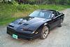 '86 Trans Am- Cheap Beater cleans up nice-cleanbird-026.jpg