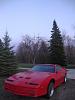 Post your firebird pics-dsc03988.jpg