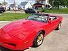 spring pics of the 91 firebird vert-bird1.jpg