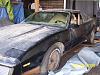 83 Recaro Edition Trans Am Barn Find!(maybe)-justins-car-003.jpg