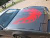 Post your firebird pics-img_1966.jpg