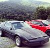 Post your firebird pics-firebird-jasons-shop-.jpg