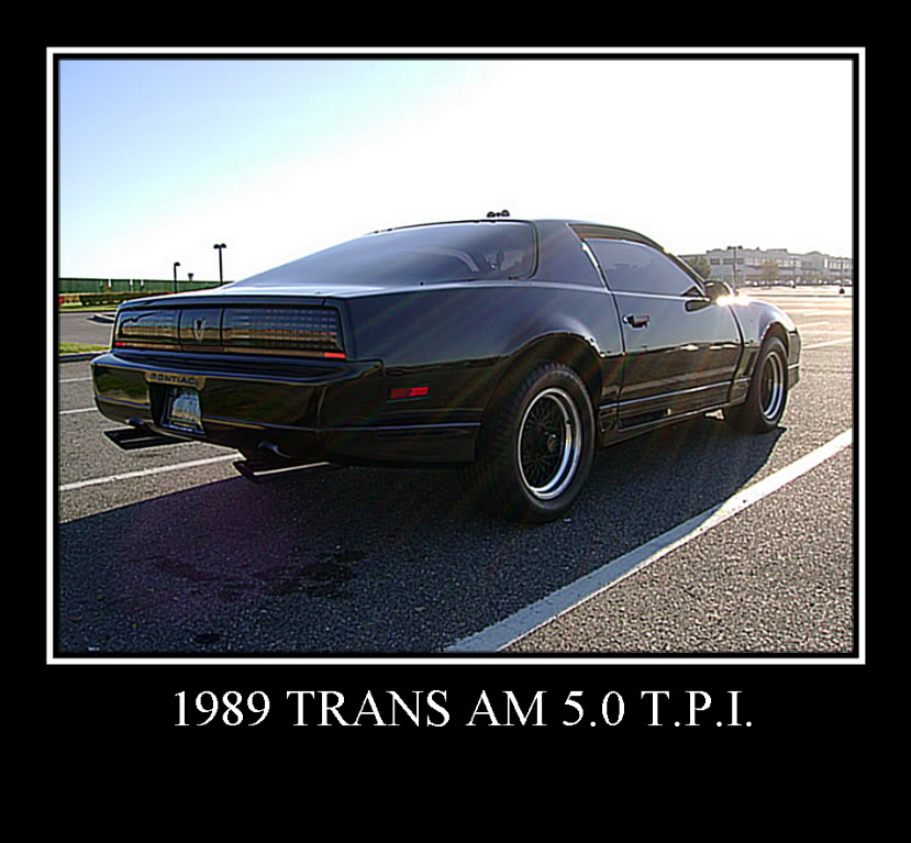 Name:  transam009-1.jpg
Views: 259
Size:  95.8 KB