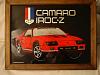 IROC-Z Picture with Frame 18&quot;x14&quot;-dsc01073.jpg