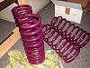 Intrax Lowering Springs FS-p1120007.jpg