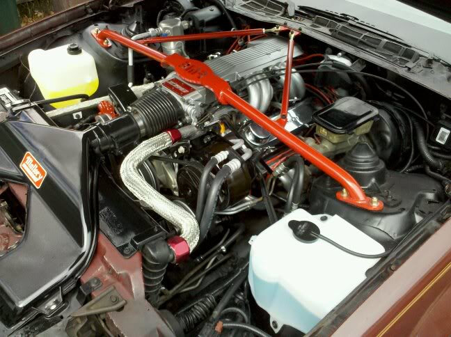 Name:  z28enginebay4-1.jpg
Views: 15
Size:  73.4 KB