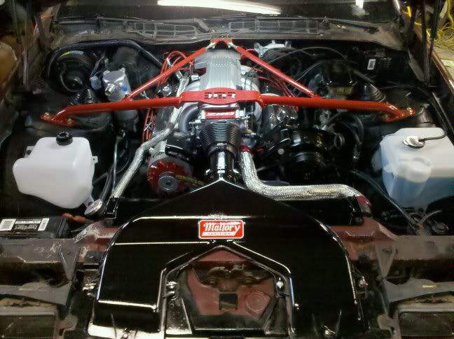 Name:  z28Enginebay2.jpg
Views: 15
Size:  59.9 KB